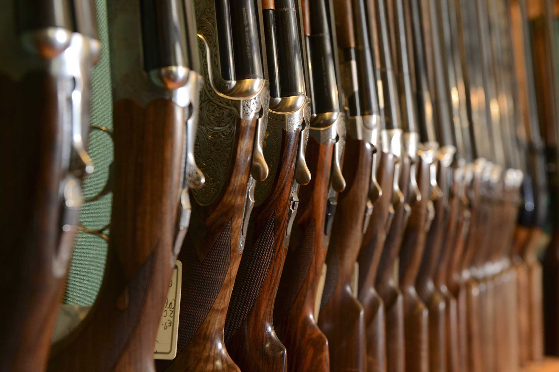buy guns photo - line of rifles along wall